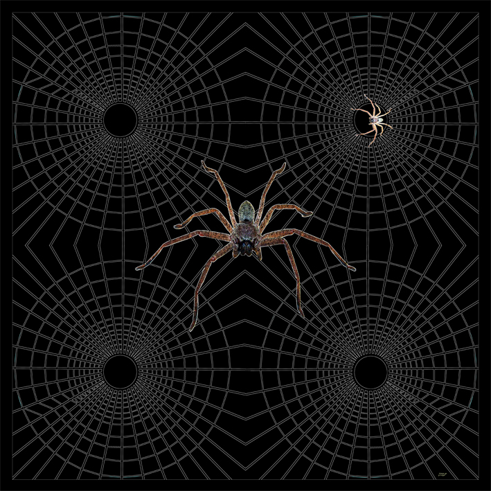 spidersweb2smw